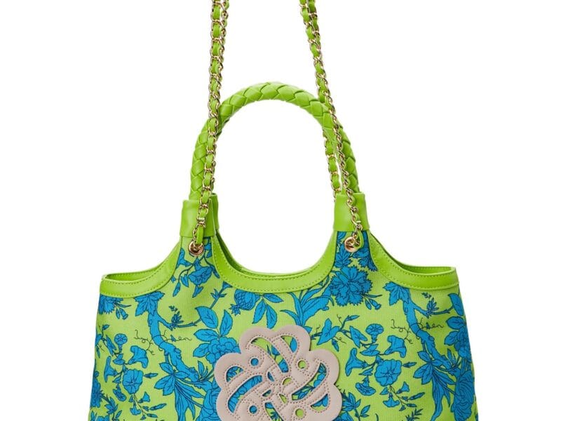 Sam & Libby Carina Women’s Medium Canvas Tote Handbag, Green and Blue