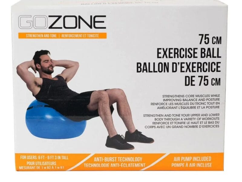 GoZone Exercise Ball, Hand pump included
