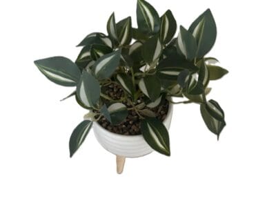 Artificial Mini Fake Plant in Pot