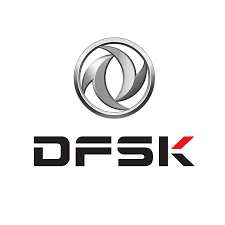 DFSK