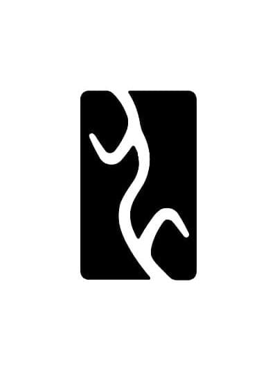 YangWang