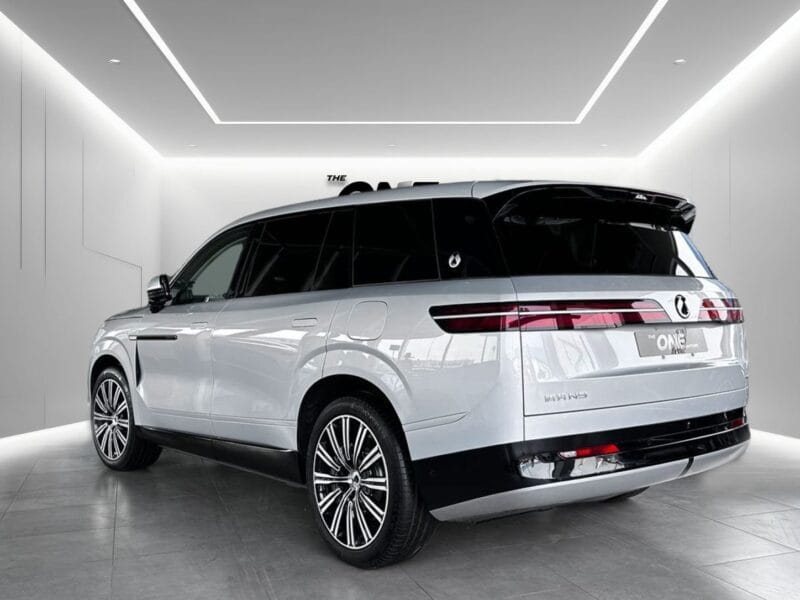 2025 DENZA N9 FLAGSHIP