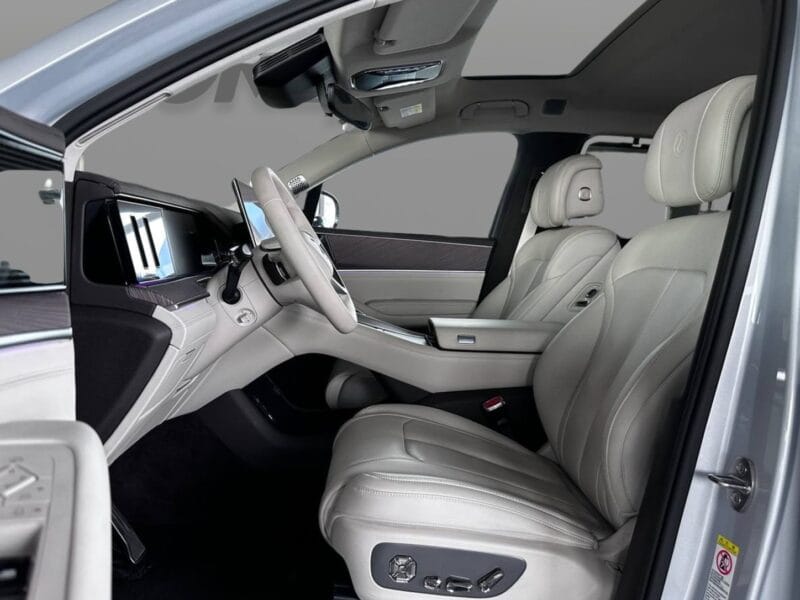 2025 DENZA N9