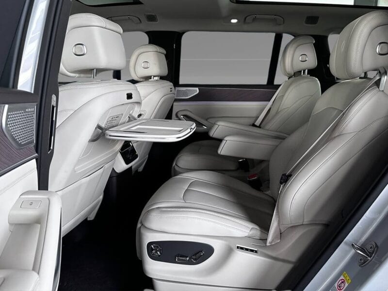 2025 DENZA N9 FLAGSHIP