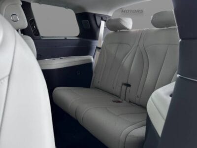 2025 DENZA N9 FLAGSHIP