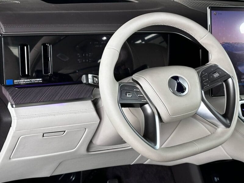 2025 DENZA N9