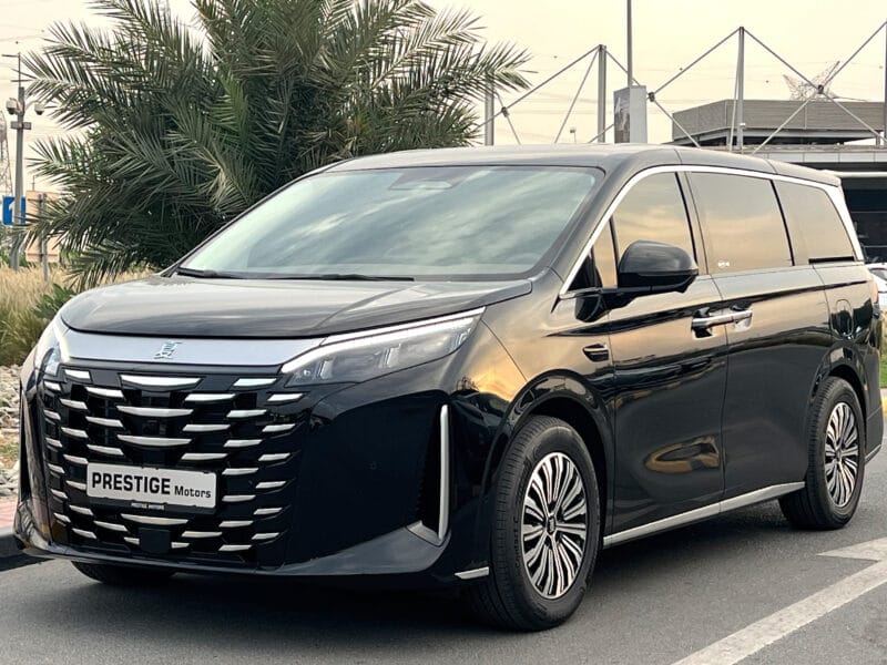 BYD XIA 2025