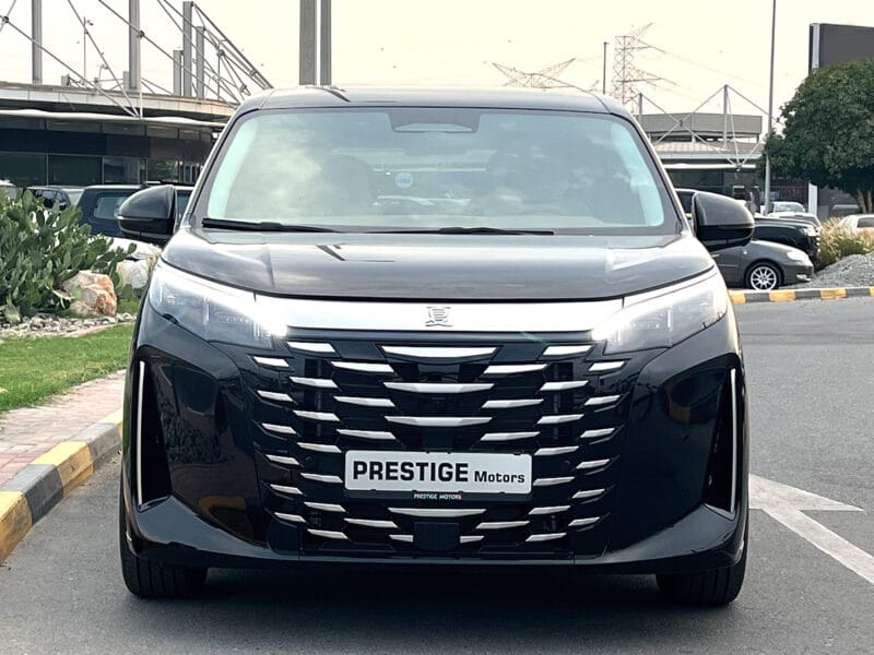 BYD XIA 2025