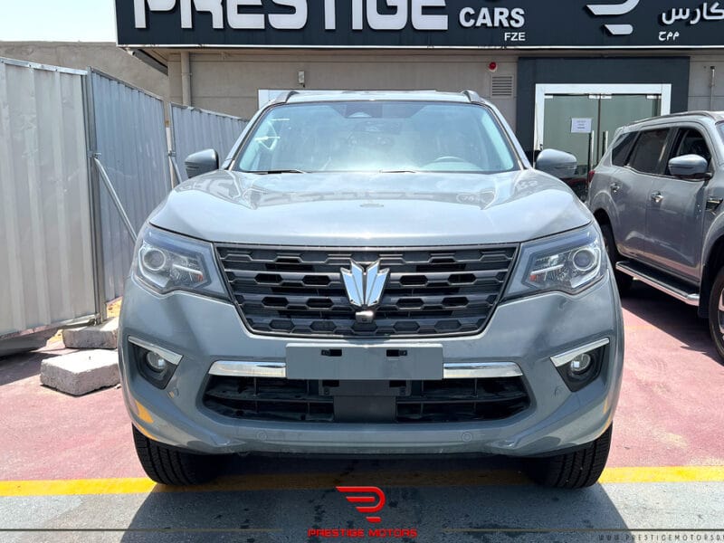 Dongfeng Paladin 4WD 2023 - Grey