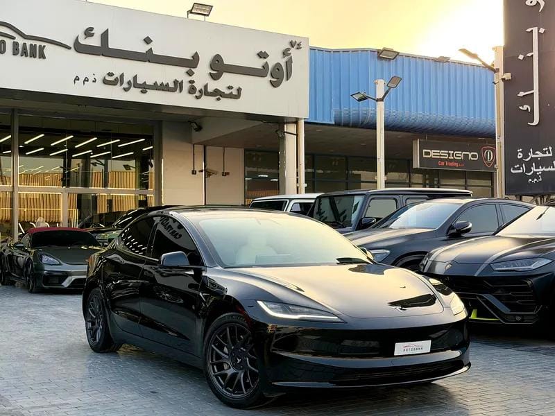 2025 Tesla Model 3 Long Range