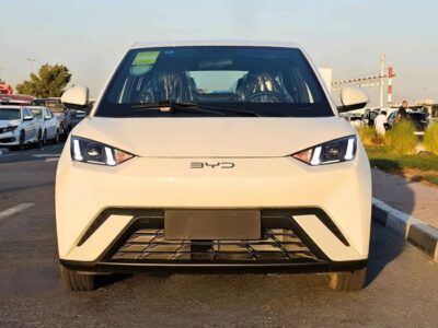 2025 BYD Seagull FLYING EDITION ELECTRIC FULL OPTION White