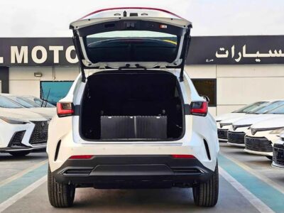 2025 Lexus NX350 ELITE TURBO CHARGED 2.4L PETROL Red White