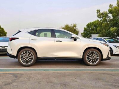 2025 Lexus NX350 ELITE TURBO CHARGED 2.4L PETROL Red White