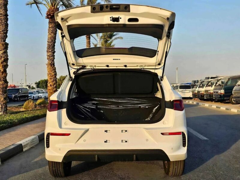 2024 BYD e2 ELECTRIC LUXURY 405KM RANGE White Black