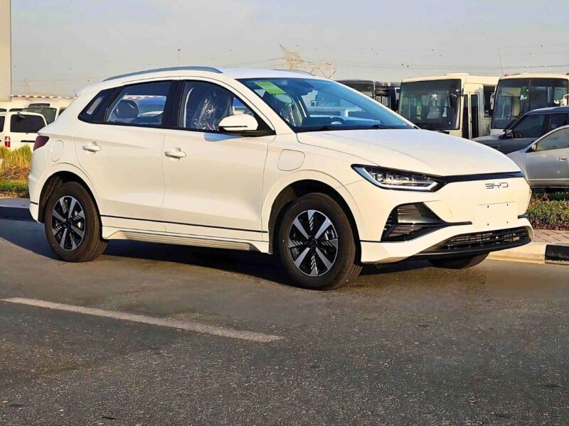 2024 BYD e2 ELECTRIC LUXURY 405KM RANGE White Black