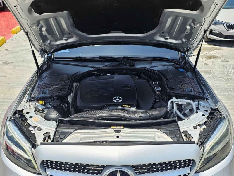 2019 Mercedes-Benz C 300 ECO TURBO V4 COUPE Silver Black