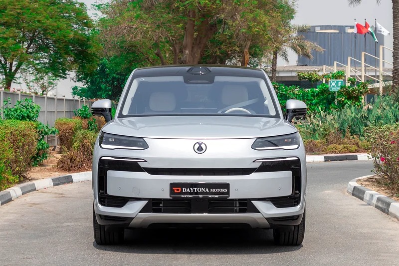 2025 Denza N9 Prestige 4-Cylinder Engine Silver White VIP SEAT