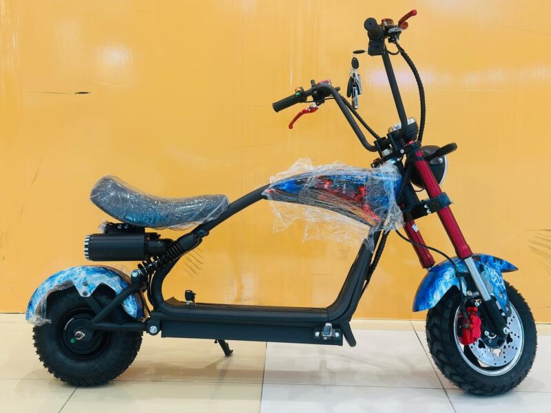 48v 800w Lithium Electric Scooter Speed 45 to 50
