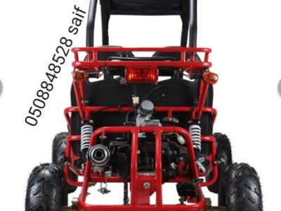 Go Kart 125CC 4 stroke engine single drive Red