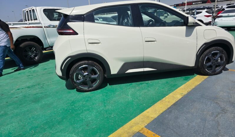 2024 BYD Seagull All-electric Vehicle EV Beige Blue