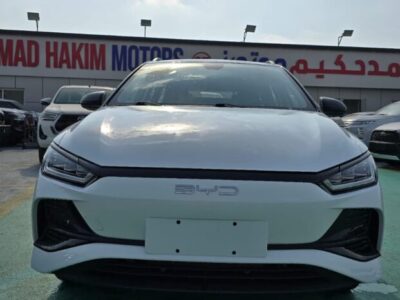2024 BYD E2 Pure Electric Vehicle EV White Black