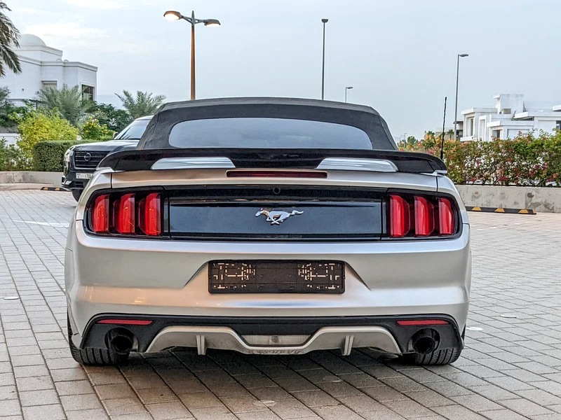 2016 Ford Mustang Ecoboost Immaculate Condition with Shelby Body Kit Silver Black