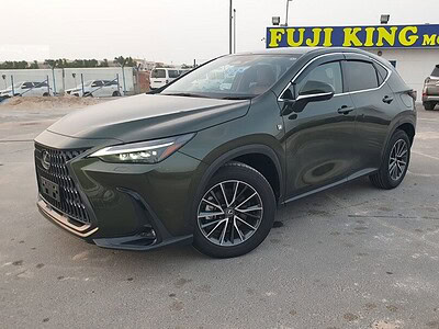 2023 Lexus NX 250 2.5 CC PETROL RHD Green Tan GCC Specs