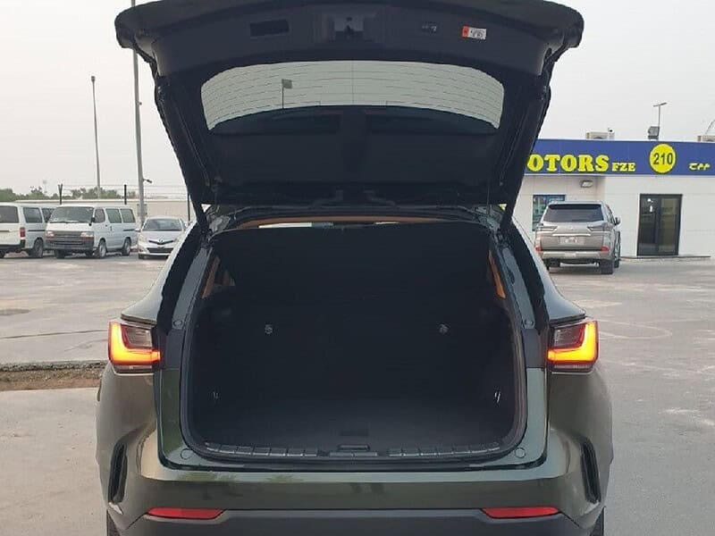 2023 Lexus NX 250 2.5 CC PETROL RHD Green Tan GCC Specs