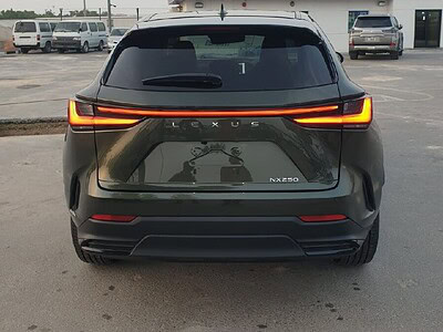 2023 Lexus NX 250 2.5 CC PETROL RHD Green Tan GCC Specs