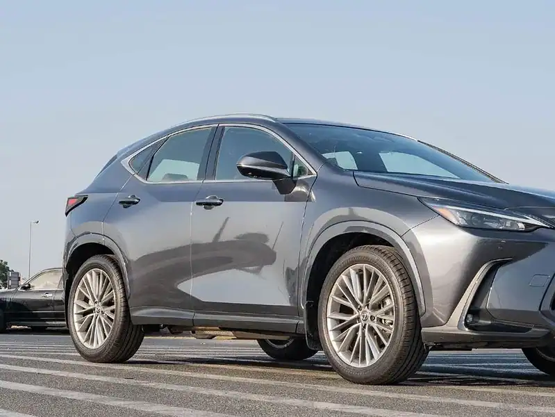Lexus NX350h Hybrid 2.5L 2025 Lexus NX350h 2.5L AT Hybrid Grey Red