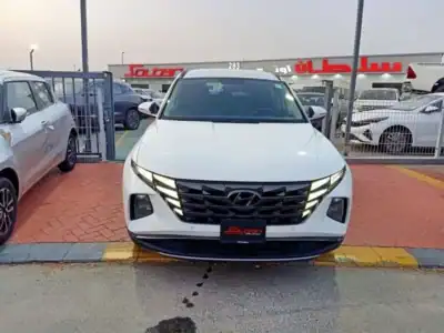 Hyundai Tucson 2.0L 4 Cylinder Petrol 2022 Full Option White Grey