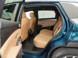 2025 BYD Song L DM-i 0KM 1.5L Range Extender Hybrid Blue Brown