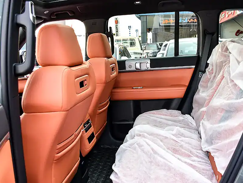2025 BYD Leopard Other Hybrid 4 Cylinders Engine Green Tan SUV