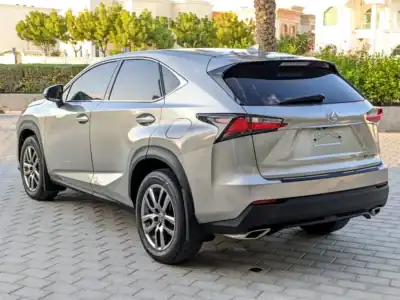 2017 Lexus NX-Series NX 200t 4 Cylinders Engine Silver Black