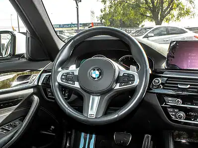 2017 BMW 5-Series 530i M Sport 2.0L Twin-Turbo Petrol 5A Grade White Black