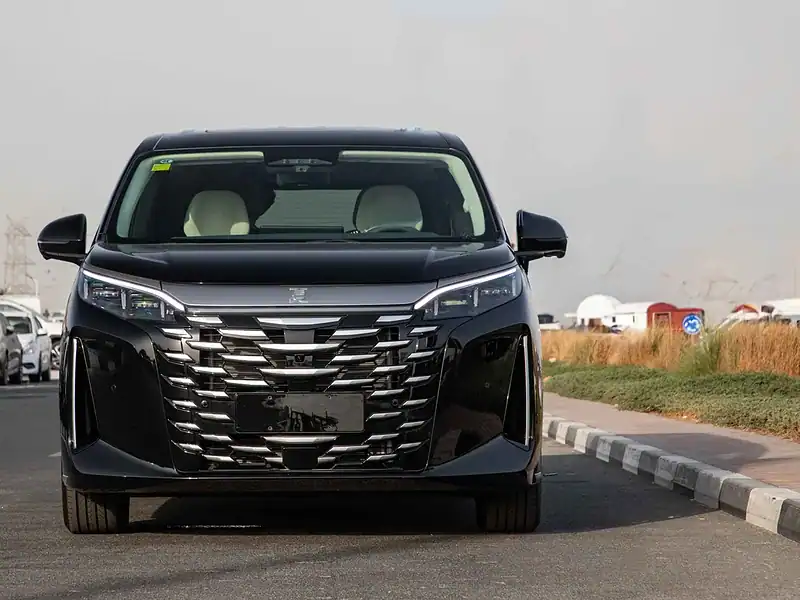 2025 BYD XIA DM-i Hybrid BYD XIA 0KM Black White Van