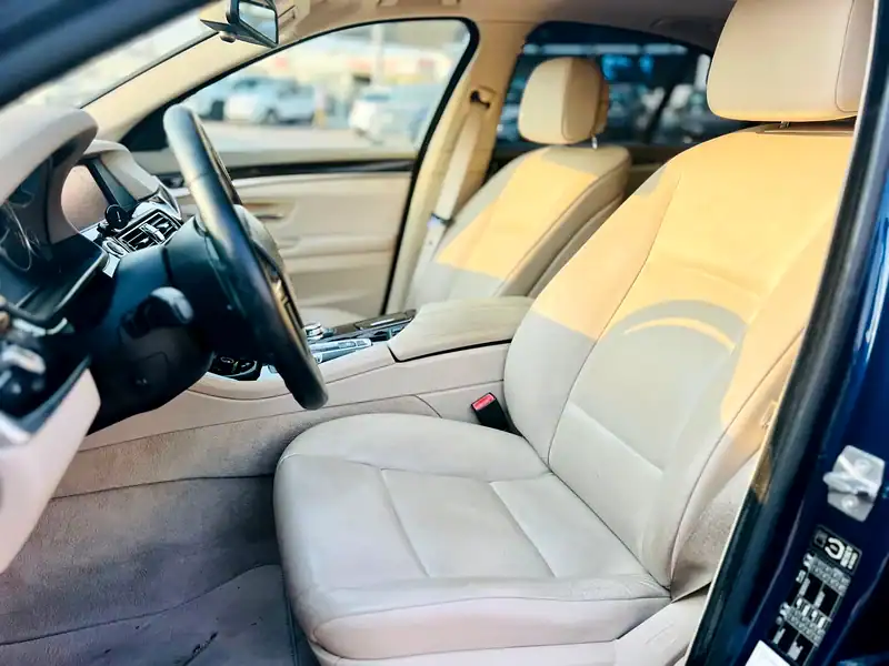 2010 BMW 5-Series 528i 6 Cylinders Engine Blue Beige Sedan
