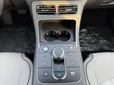 2025 BYD Destroyer 05 BYD Destroyer 05 1.5 Plug-In Hybrid Black Beige Sedan