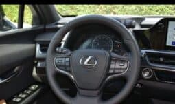 2024 Lexus UX 200 2.0L Inline-4 Petrol Engine Silver Tan SUV FWD
