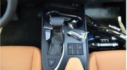 2024 Lexus UX 200 2.0L Inline-4 Petrol Engine Silver Tan SUV FWD