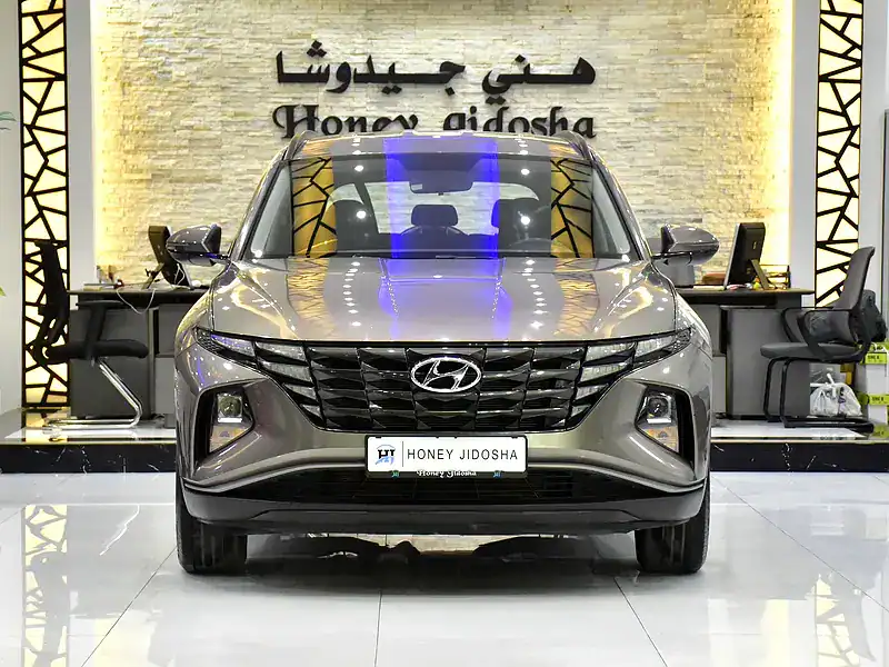 2023 Hyundai Tucson GL 4 Cylinder Engine Petrol Brown Black SUV