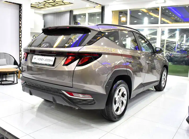 2023 Hyundai Tucson GL 4 Cylinder Engine Petrol Brown Black SUV