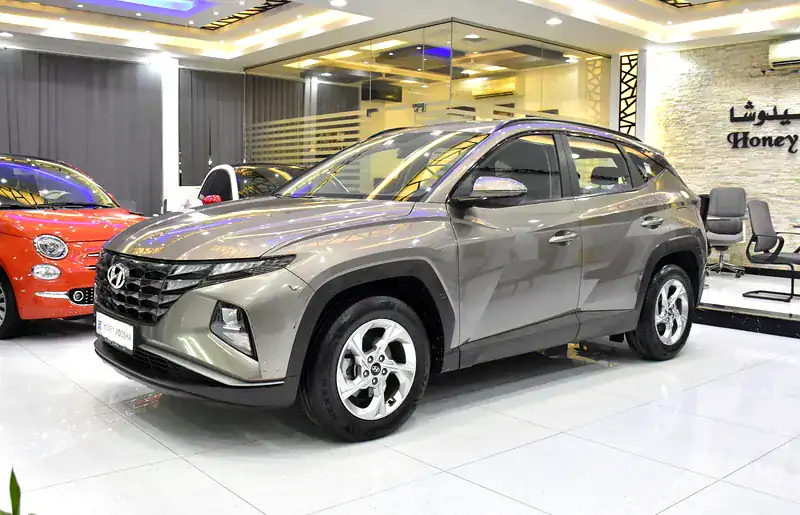 2023 Hyundai Tucson GL 4 Cylinder Engine Petrol Brown Black SUV
