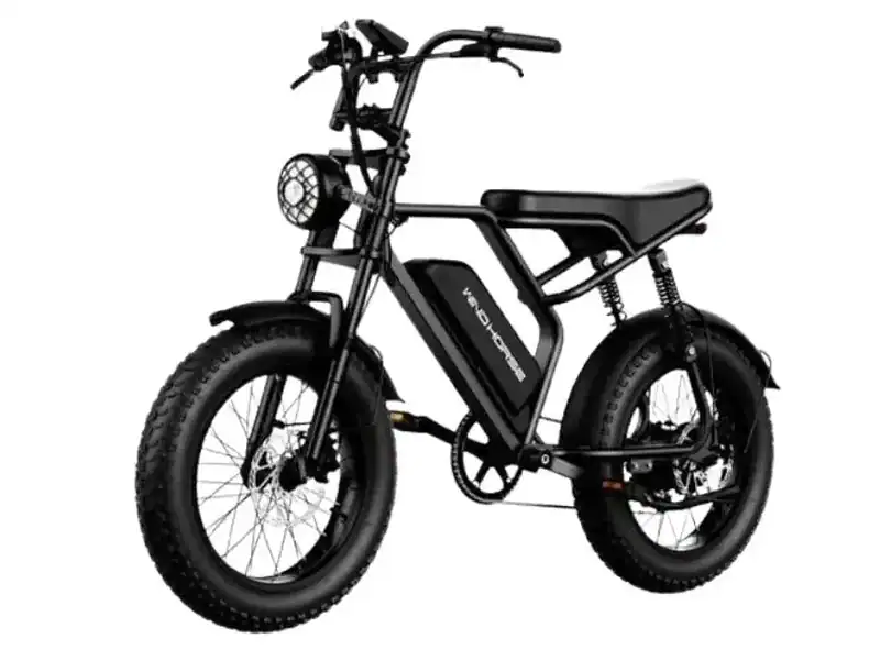 Wind Horse V8 Electric Bike Up to 60 km/h