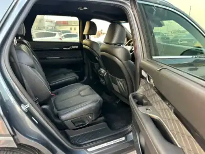 2021 Hyundai Palisade Calligraphy 6 Cylinders Engine Petrol Grey Black SUV