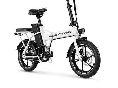 Wind Horse W2A Electric Bike Up to 35 km/h