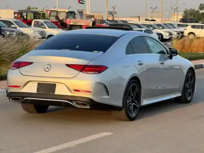 2019 Mercedes-Benz CLS-Class CLS 450 4Matic 4.5 Auction Grade Silver Red Coupe