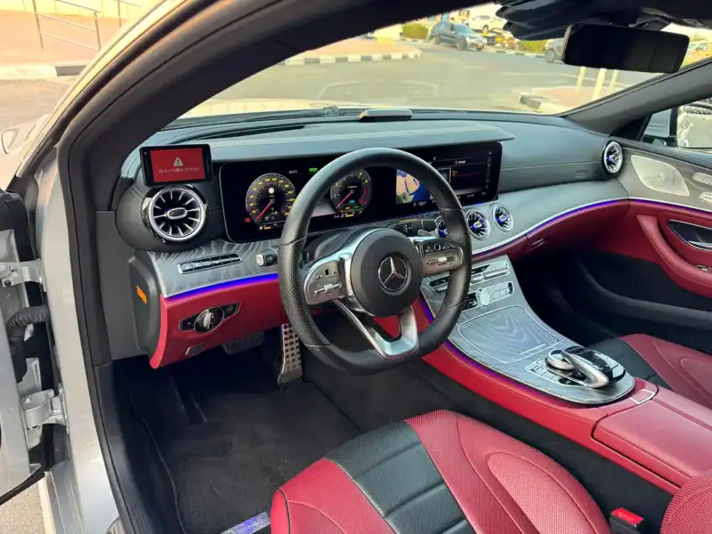 2019 Mercedes-Benz CLS-Class CLS 450 4Matic 4.5 Auction Grade Silver Red Coupe