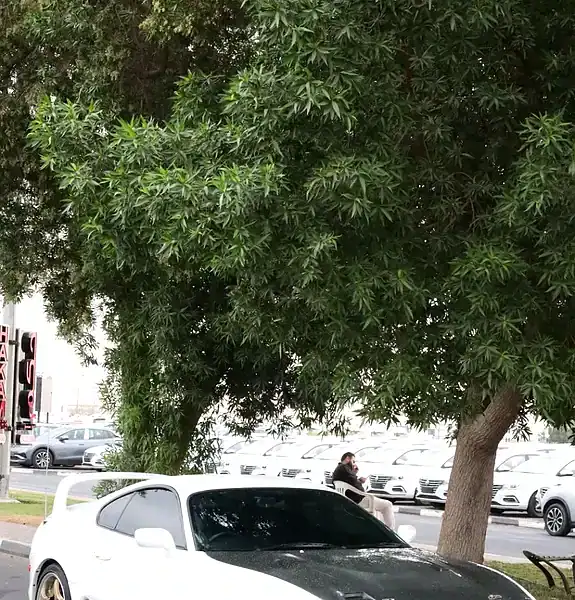 1996 Toyota Supra Premium 6 Cylinders Engine White Black Sports Car