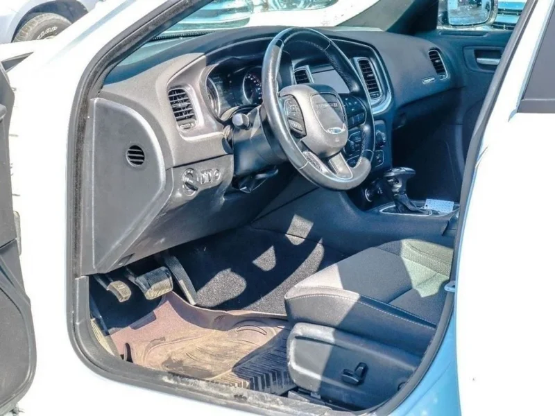 2020 Dodge Charger SE Mid 3.6 litres 6 Cylinders Engine White Grey Sedan